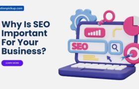 Why Is SEO Important For Your Business
